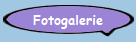 Fotogalerie